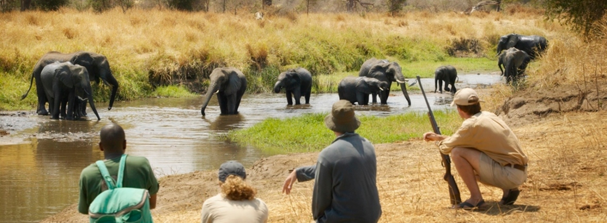 Luxury Safari in Tarangire National Park