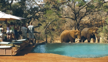 Tuningi Safari Lodge